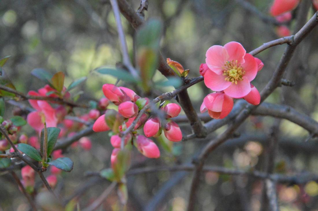 464022_365222953588633_1166688439_o