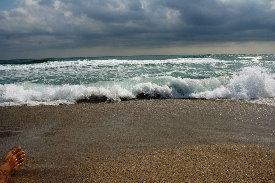 487396_286416294802633_1793883204_n