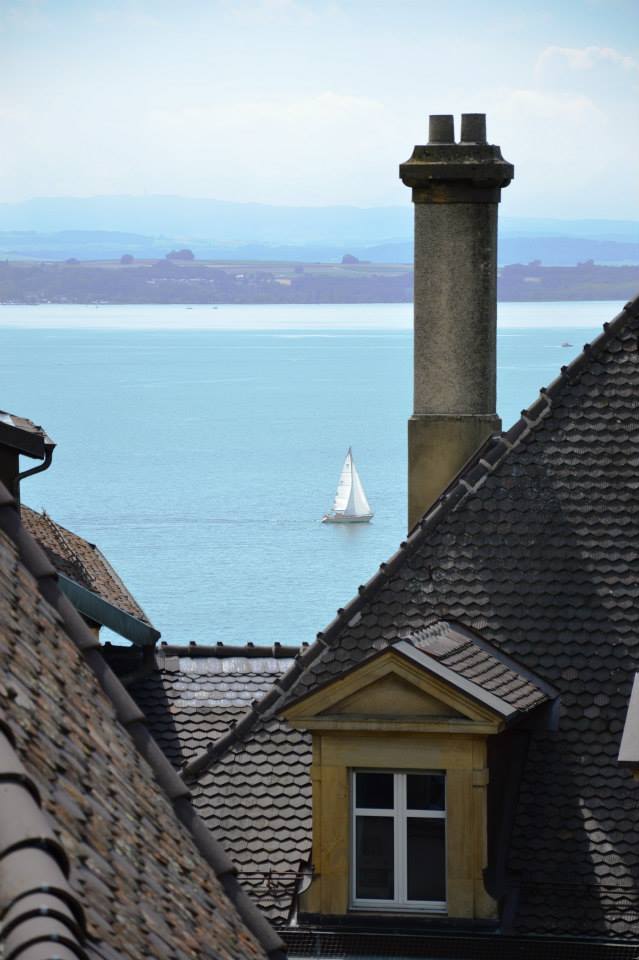 543855_405154399595488_431491669_n