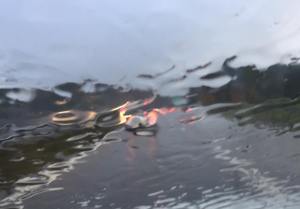 14601132_1006149626162626_5515179789243960746_n