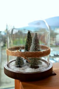 1064710_810855179025406_4343289372954846448_o