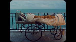 3._inimi_cicatrizate