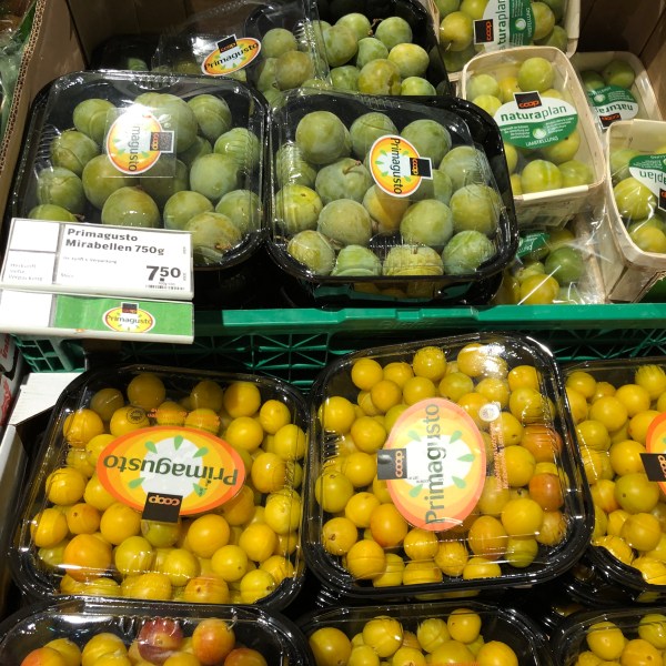 24093B50-07A2-485E-B7DE-453387B211BF